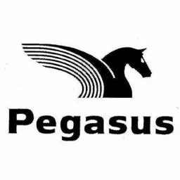 Pegasus – varumärkesbild för IC Control Aktiebolag