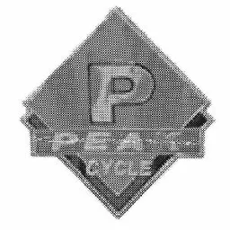 P PEAK CYCLE – varumärkesbild för Cycleurope Sverige AB