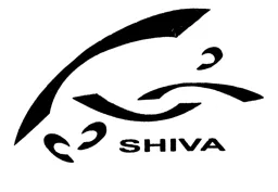 SHIVA – varumärke, Famous Gross Import & Export AB