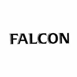 FALCON – varumärkesbild för Carlsberg Sverige Aktiebolag