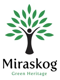 Miraskog Green Heritage – varumärkesbild för Miraskog Aktiebolag