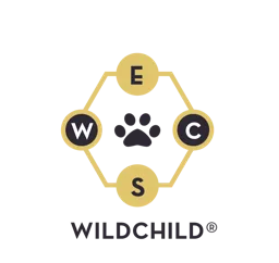 WILDCHILD – varumärkesbild för Konselj Consulting Stockholm AB