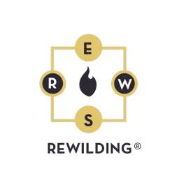 REWILDING RWES – varumärkesbild för Konselj Consulting Stockholm AB