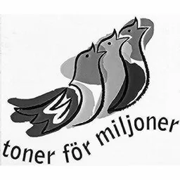 TONER FÖR MILJONER – varumärkesbild för Swedbank AB