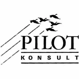 PILOT KONSULT – varumärkesbild för Pilot Konsult Aktiebolag