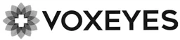VOXEYES – varumärkesbild för Voxeyes AB