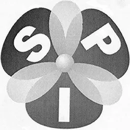 SPI – varumärkesbild för Sigma Technology Information AB