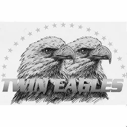 TWIN EAGLES – varumärkesbild för Bios Aktiebolag