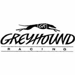 GR GREYHOUND RACING – varumärkesbild för Svenska Spel Sport & Casino AB
