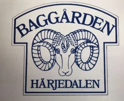 Baggården Härjedalen – varumärkesbild för Messlingen Fastigheter AB