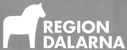REGION DALARNA – varumärke, REGION DALARNA