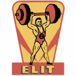 ELIT – varumärkesbild för Logisnext Europe Sweden Center AB