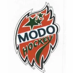 MODO HOCKEY – varumärkesbild för MODO HOCKEYKLUBB