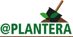 @ PLANTERA – varumärkesbild för Omnia Garden AB