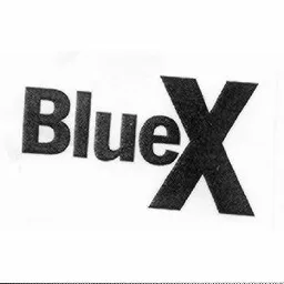 BLUEX – varumärkesbild för SJ AB