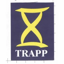 TRAPP – varumärkesbild för Vaia Digital AB