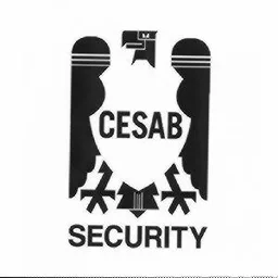 CESAB SECURITY – varumärkesbild för Avarn Security AB