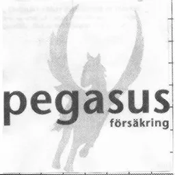 PEGASUS FÖRSÄKRING – varumärkesbild för Solid Försäkringsaktiebolag