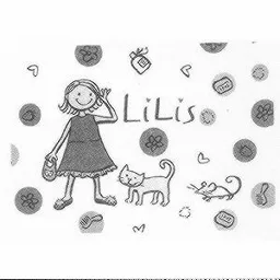 LiLis – varumärke, Axstores AB