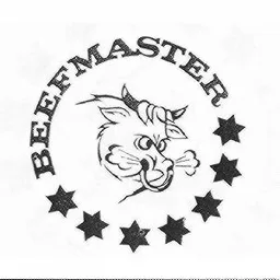 BEEFMASTER – varumärkesbild för Specialchark Stockholm Aktiebolag