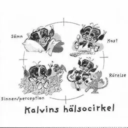 Kalvins hälsocirkel Sinnen/perception Sömn Kost Rörelse – varumärkesbild för Skånemejerier AB