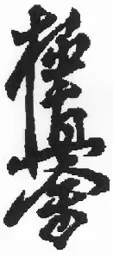 Figurmärke – varumärke, SWEDISH KARATE KYOKUSHINKAI (SKK)