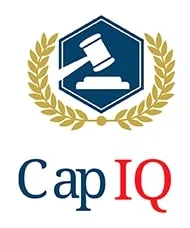 CapIQ – varumärkesbild för Vanlycke Owner AB