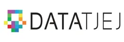 DataTjej – varumärke, DATATJEJ