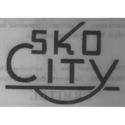 SKOCITY – varumärkesbild för Rizzo Group AB