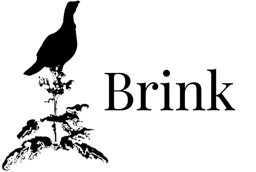 Brink – varumärkesbild för Brink Group AB