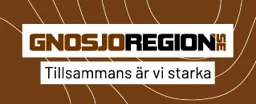 Gnosjoregion.se Tillsammans är vi starka – varumärke, 0371 webb & reklam AB
