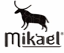 Mikael – varumärkesbild för Ljungmans jurist & Finanshus AB