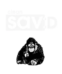 clean sav:D – varumärkesbild för Clean Sverige AB