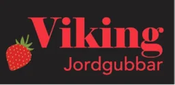 Viking jordgubbar – varumärkesbild för SBK Sweden AB