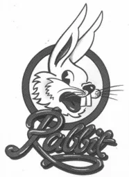 Rabbit – varumärkesbild för Aerian AB