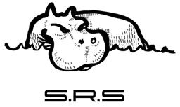 S.R.S – varumärkesbild för Sörmlands rör service trosa AB