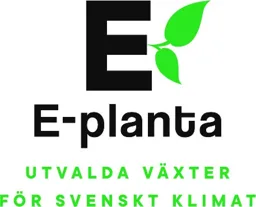 E E-planta UTVALDA VÄXTER FÖR SVENSKT KLIMAT – varumärke, STIFTELSEN TRÄDGÅRDSODLINGENS ELITPLANTSTATION