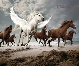 PEGAS – varumärkesbild för Huskvarna equipment & transport AB