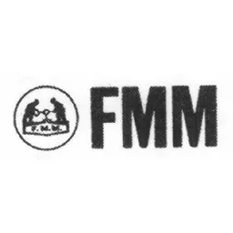 FMM – varumärkesbild för FM Mattsson AB (publ)
