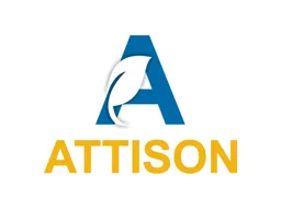 A ATTISON – varumärkesbild för Nordicana AB