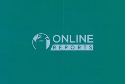 ONLINE REPORTS – varumärkesbild för Iwema Advice Aktiebolag