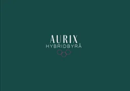 AURIX HYBRIDBYRÅ – varumärkesbild för Termino C 10020 AB