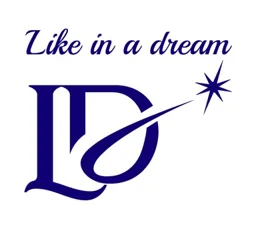 Like in a dream – varumärkesbild för MVV Consulting and Investment AB