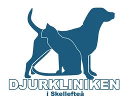 DJURKLINIKEN I SKELLEFTEÅ – varumärkesbild för Mr Oak Holding AB