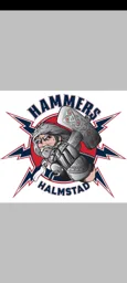 HAMMERS HALMSTAD – varumärkesbild för HALMSTAD HAMMERS HOCKEY CLUB