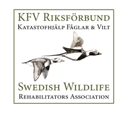 KFV Riksförbund Katastrofhjälp Fåglar & Vilt Swedish Wildlife Rehabilitators Association – varumärke, KFV'S RIKSFÖRBUND