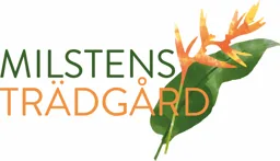 MILSTENS TRÄDGÅRD – varumärkesbild för Milstens trädgård AB