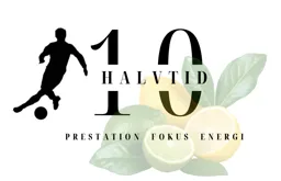 10 HALVTID PRESTATION FOKUS ENERGI – varumärkesbild för Ny Nivå AB
