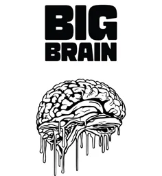 BIG BRAIN – varumärkesbild för Big Brain AB
