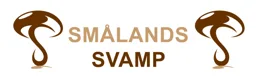 SMÅLANDS SVAMP – varumärkesbild för Smålands svamp AB